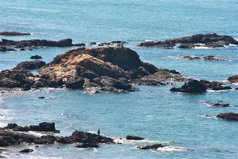 THE 10 BEST Beach Hotels in Bardez (2024) .